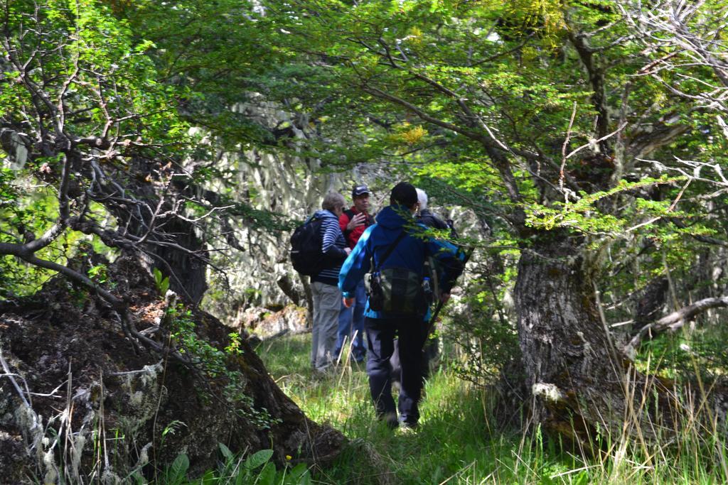 Colonia Francisco Perito Moreno Adventure Domes Glamping酒店 外观 照片