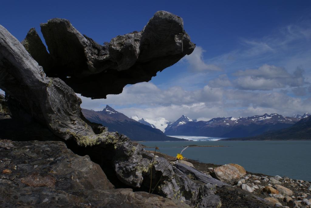 Colonia Francisco Perito Moreno Adventure Domes Glamping酒店 外观 照片