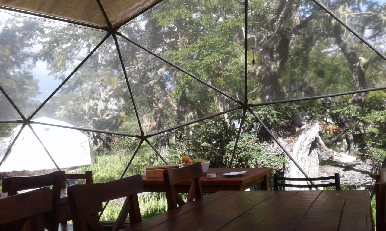 Colonia Francisco Perito Moreno Adventure Domes Glamping酒店 外观 照片